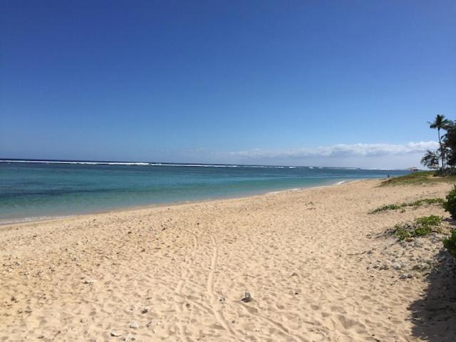 Villa 'Côté Sable' proche plage et lagon La Saline-Les-Bains Exterior foto